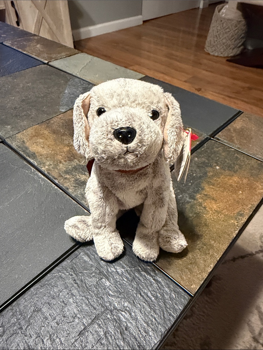 Beanie Baby Tricks